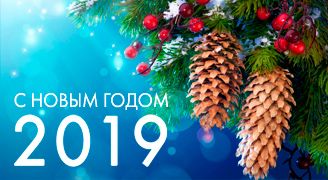 С наступающим 2019 годом!