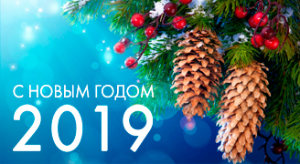 С наступающим 2019 годом!