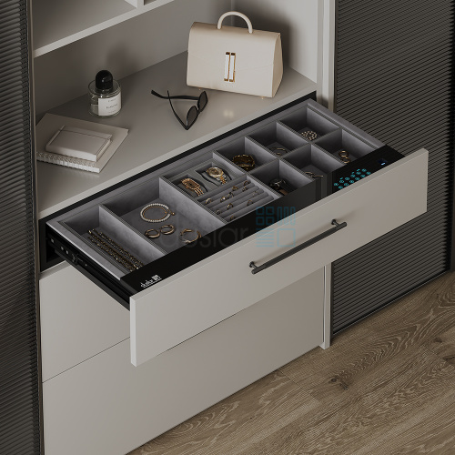 выдвижной сейф enigma с органайзером для украшений и аксессуаров, ширина 864 мм, черный/антрацит Выдвижной сейф ENIGMA с органайзером для украшений и аксессуаров, ширина 864 мм, черный/антрацит