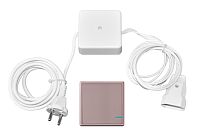 УЦЕНЕННЫЙ механический  радиовыключатель PRACTIC, 1 клавиша, розовое золото