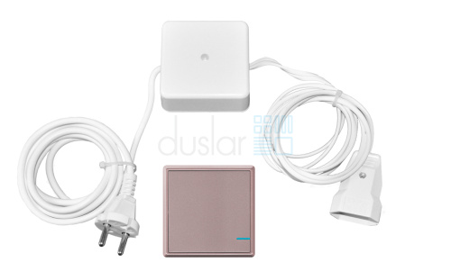 УЦЕНЕННЫЙ механический  радиовыключатель PRACTIC, 1 клавиша, розовое золото